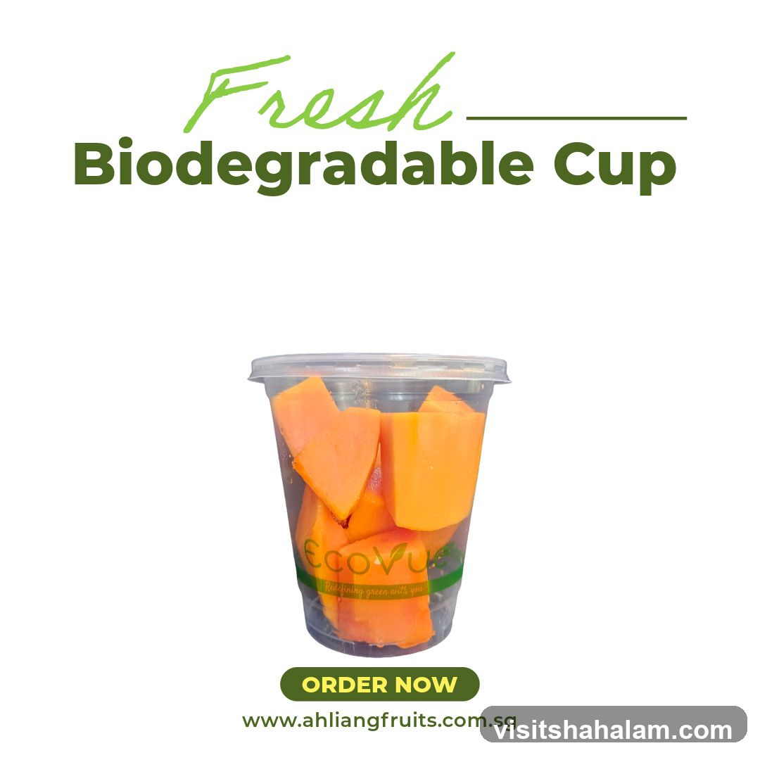 Fresh Biodegradable Cup