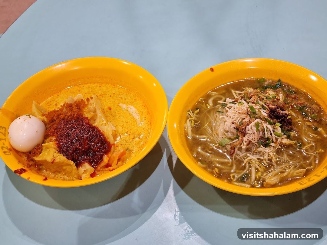 Two Bowls of Noodles