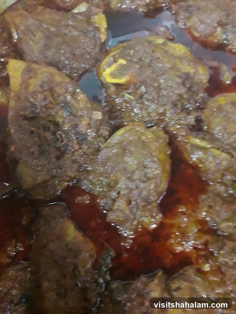 Close-up of Stewed Meat
