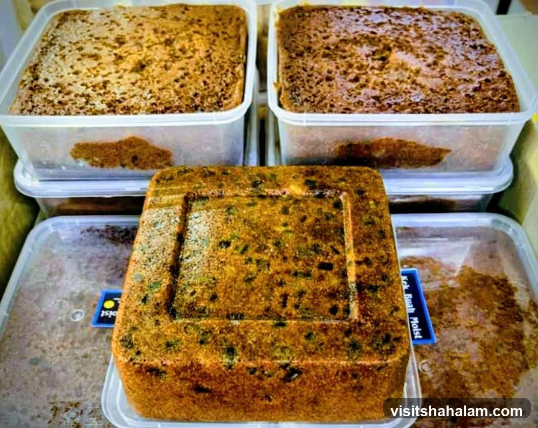 Cakes in Containers