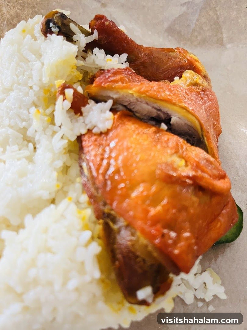 Roasted Chicken and Rice