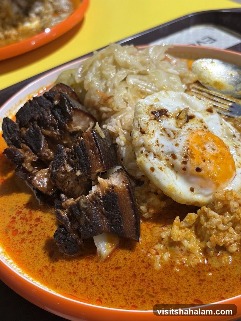 Braised Pork Belly Rice