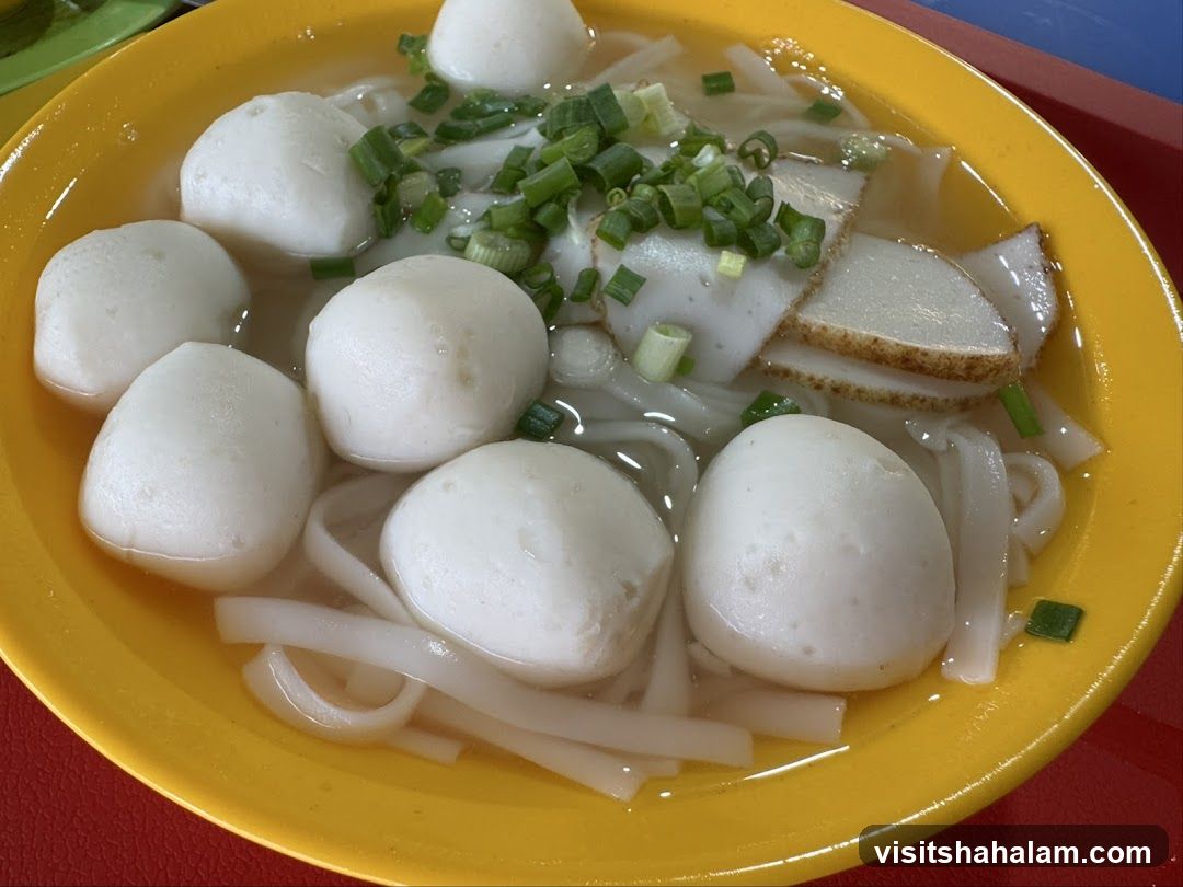 康乐鱼圆面 Kang Le Fishball Noodles