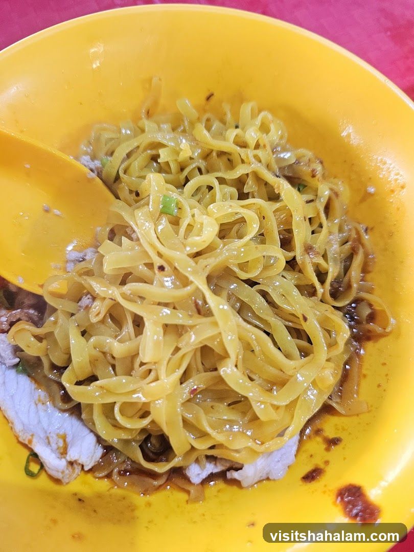 Noodles with Meat