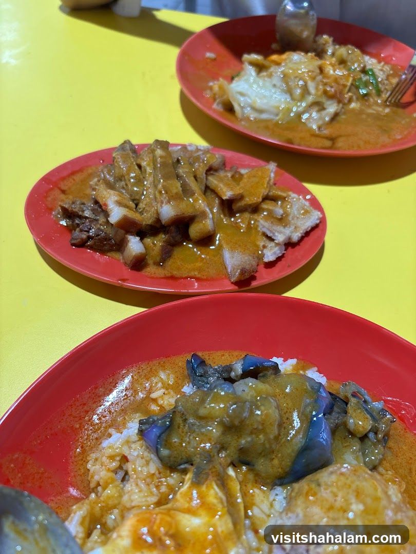 Singtaste Hainanese Scissors Curry Rice