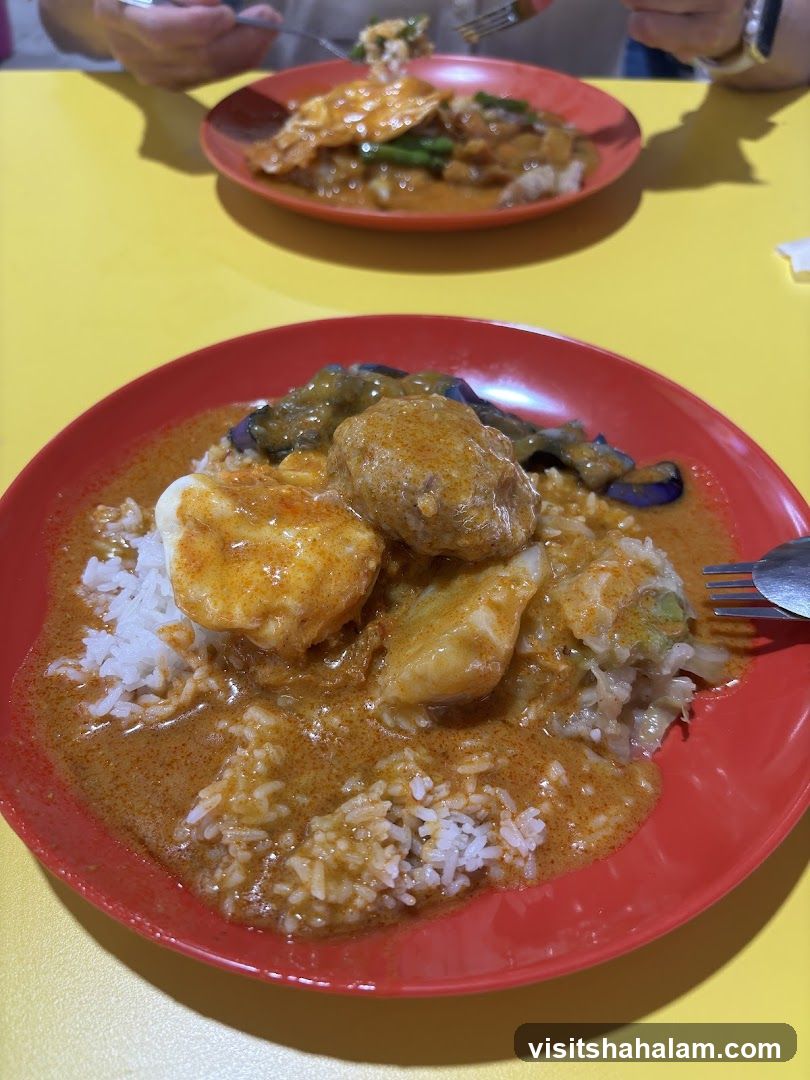 Curry Rice Dishes