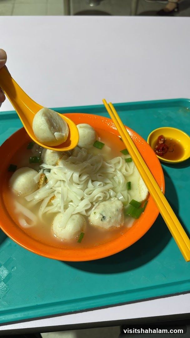 Wen Guang Handmade Fishball Noodle 文光自制鱼丸面