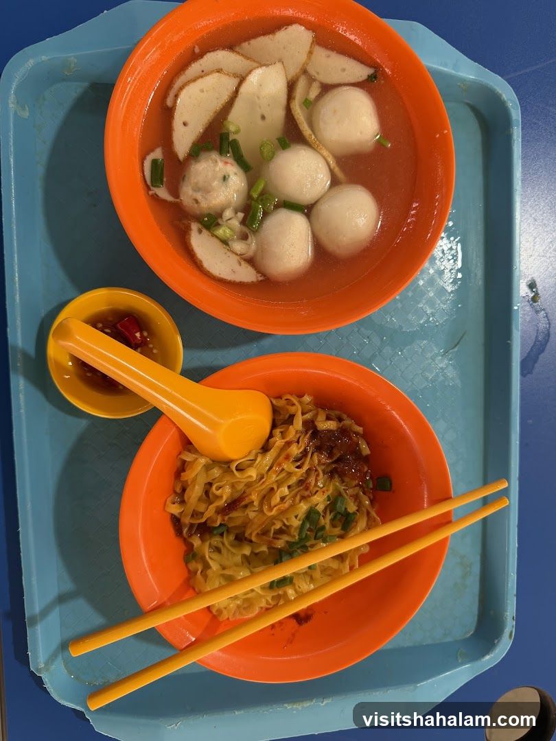 Noodles and Fishball Soup