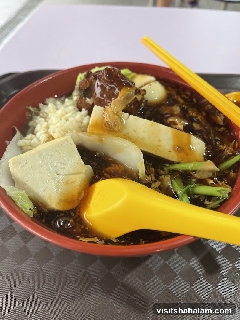 Bowl of Noodles with Tofu and Meat