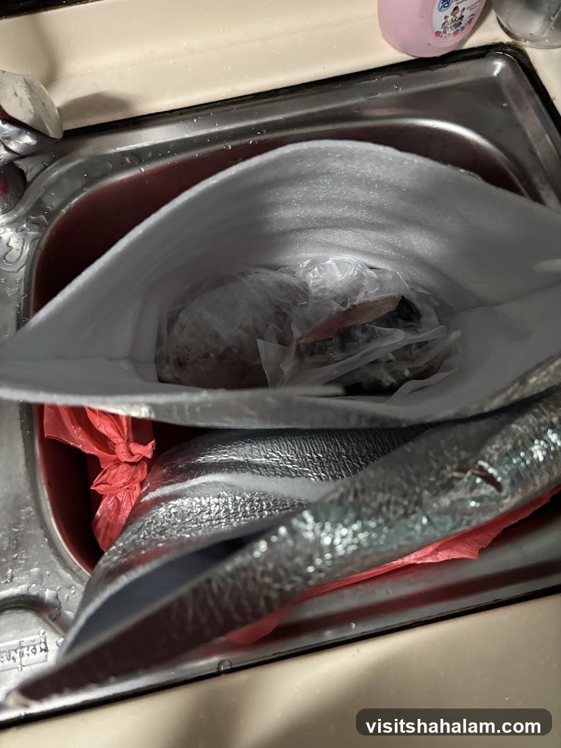 Fish in a Sink