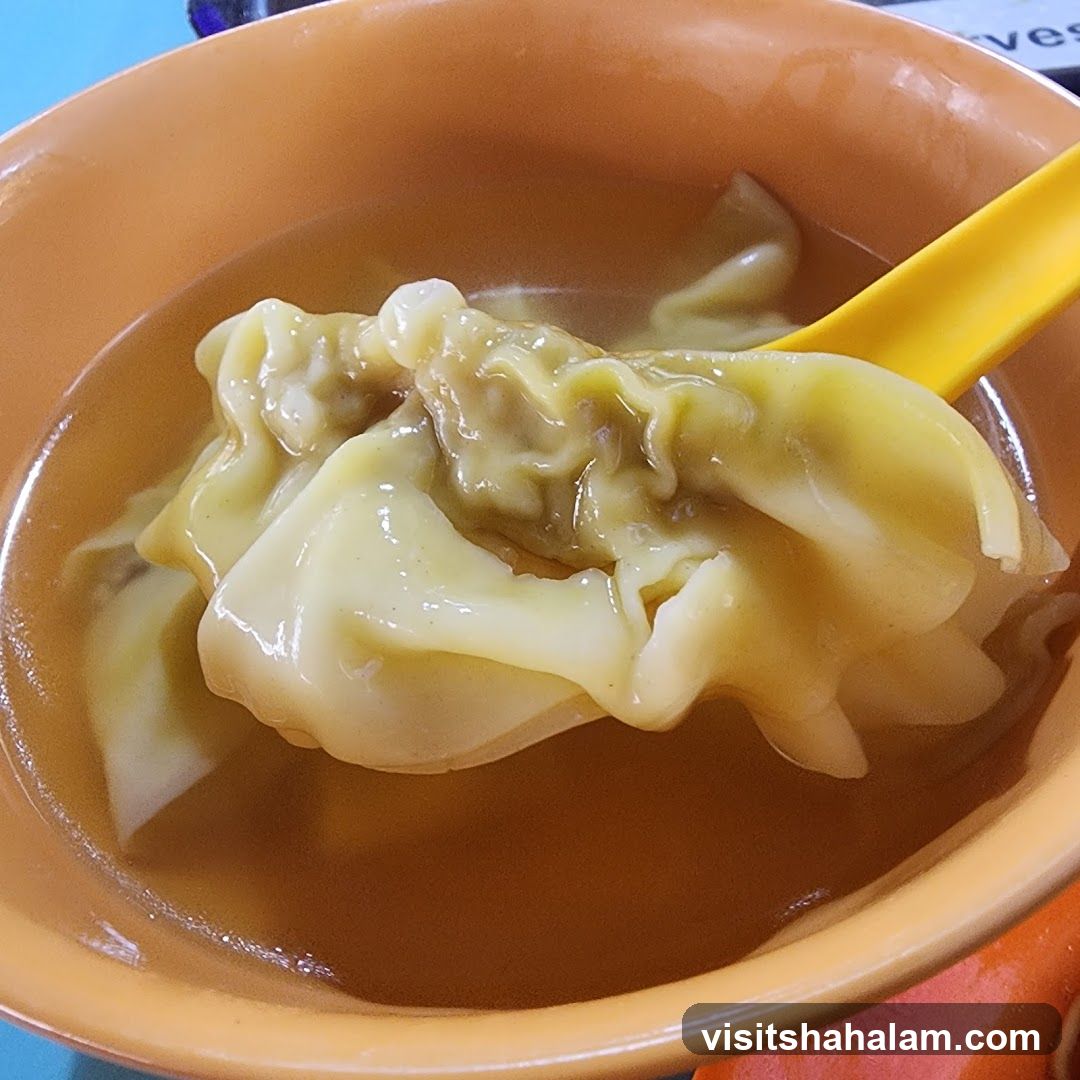 Wonton Soup