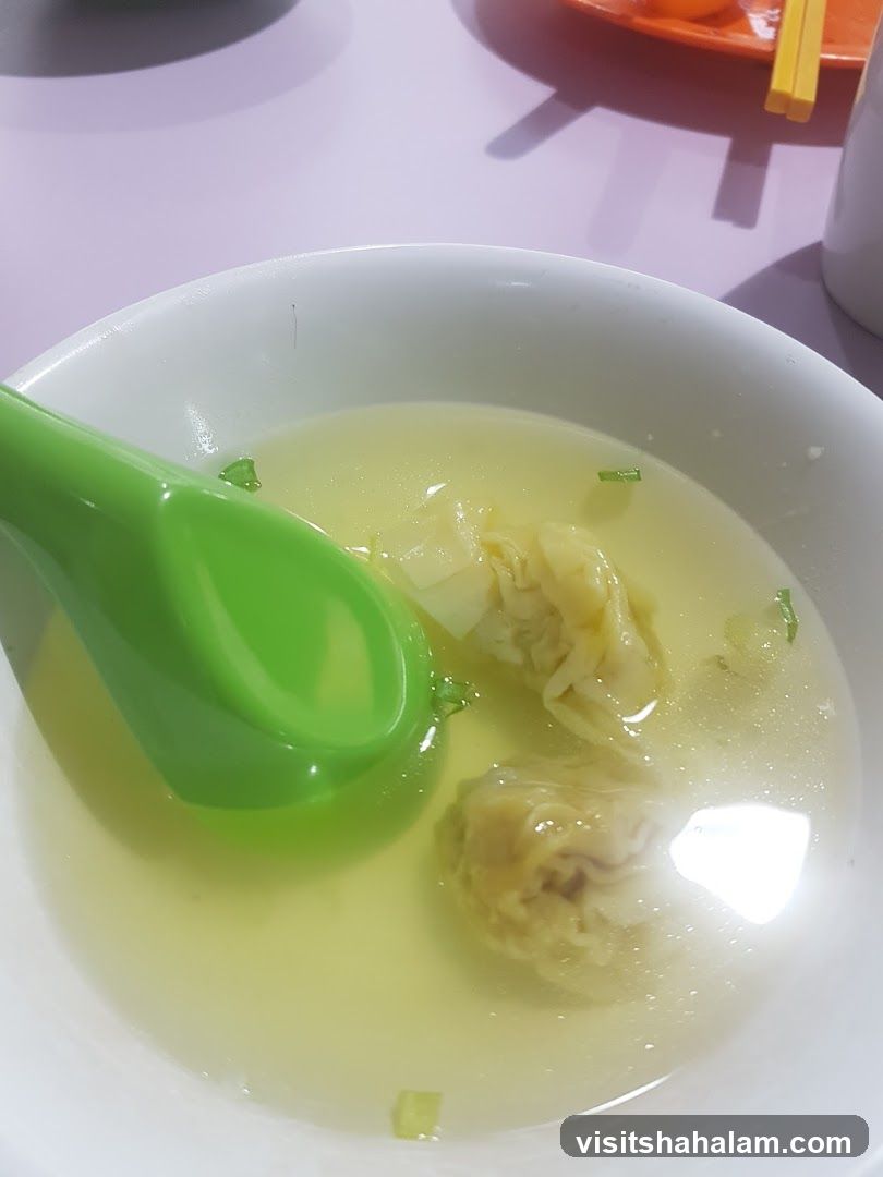 Wonton Soup