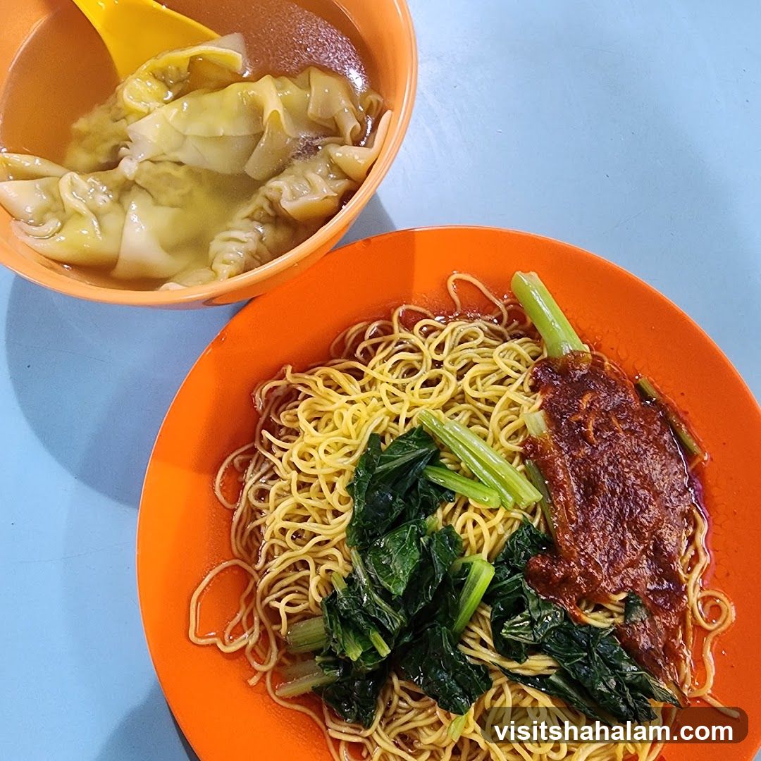 Wonton Noodles