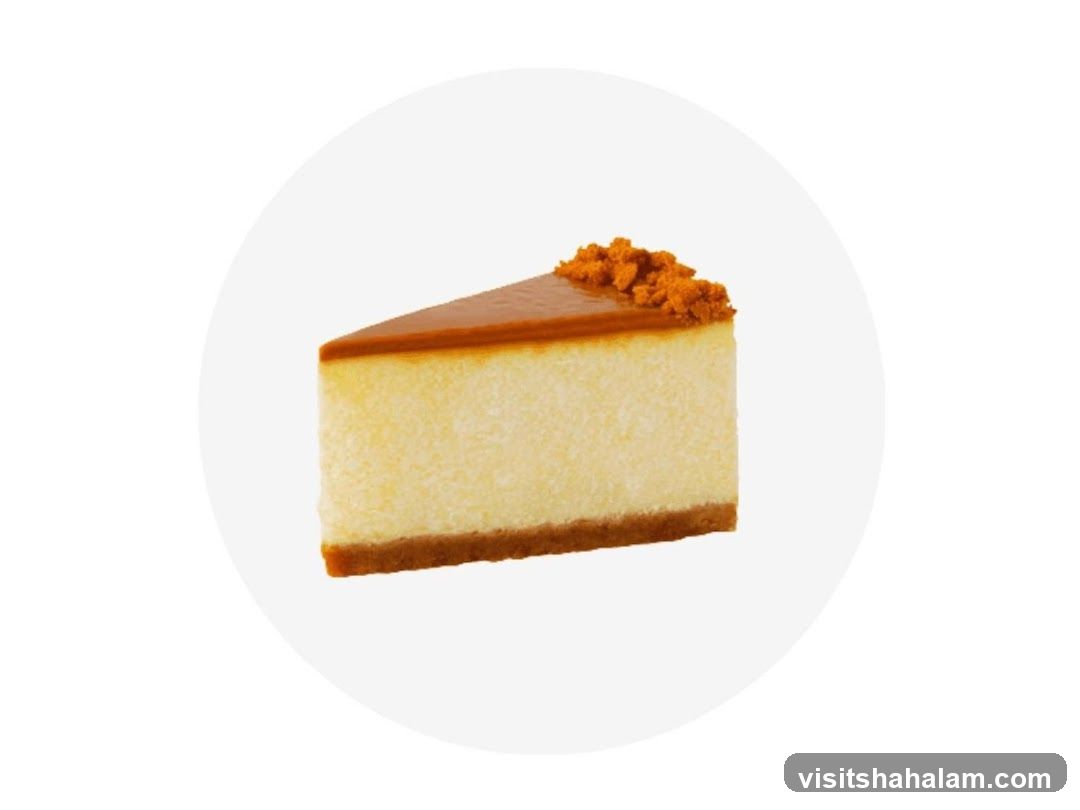 Cheesecake Slice