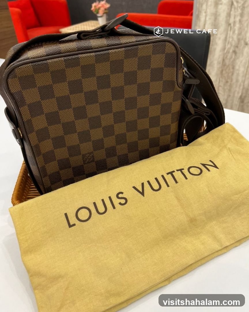 Louis Vuitton Bag