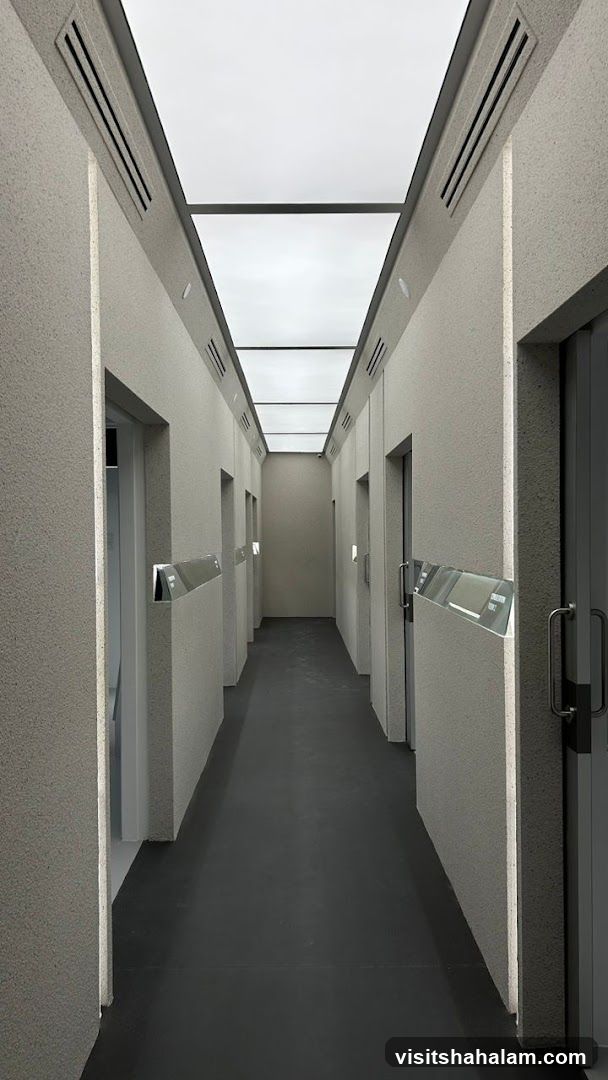 Modern Hallway with Doors