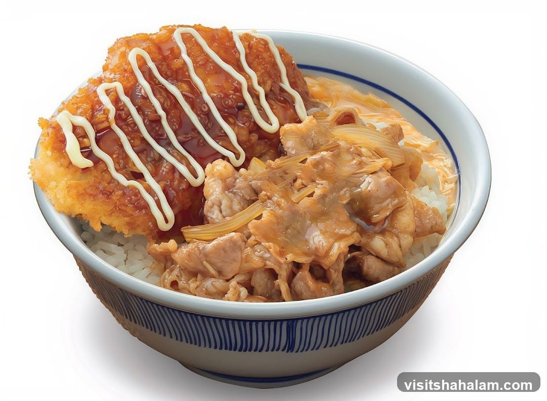 Katsu and Pork Donburi