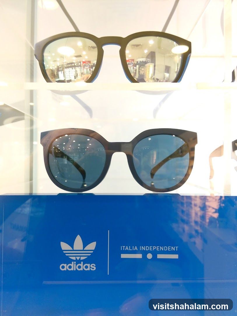 Eyeglasses Display