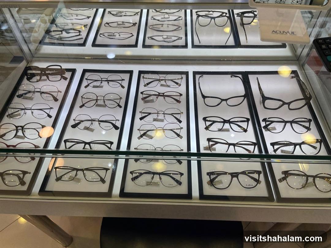 Eyeglasses Display