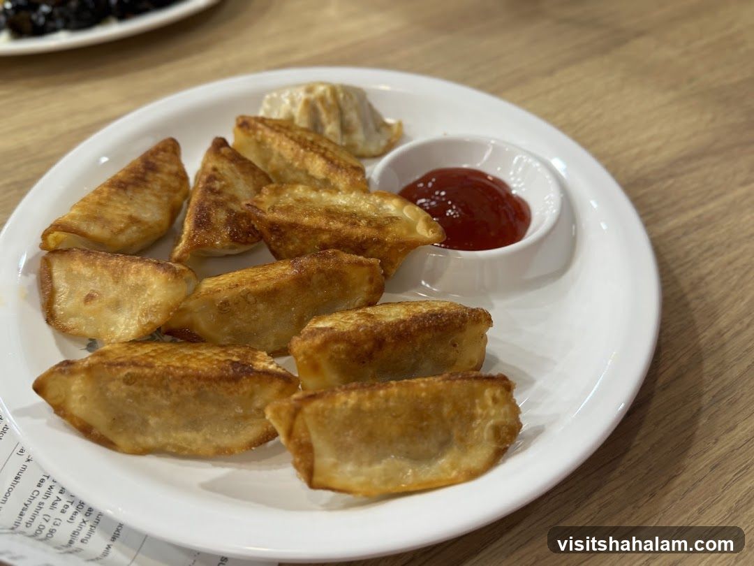 Fried Dumplings with Dipping Sauce