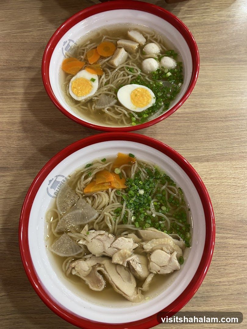 Two bowls of noodle soup