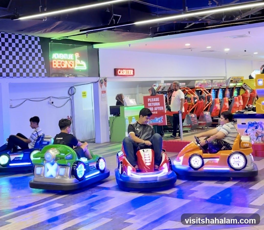 Indoor Bumper Cars and Arcade