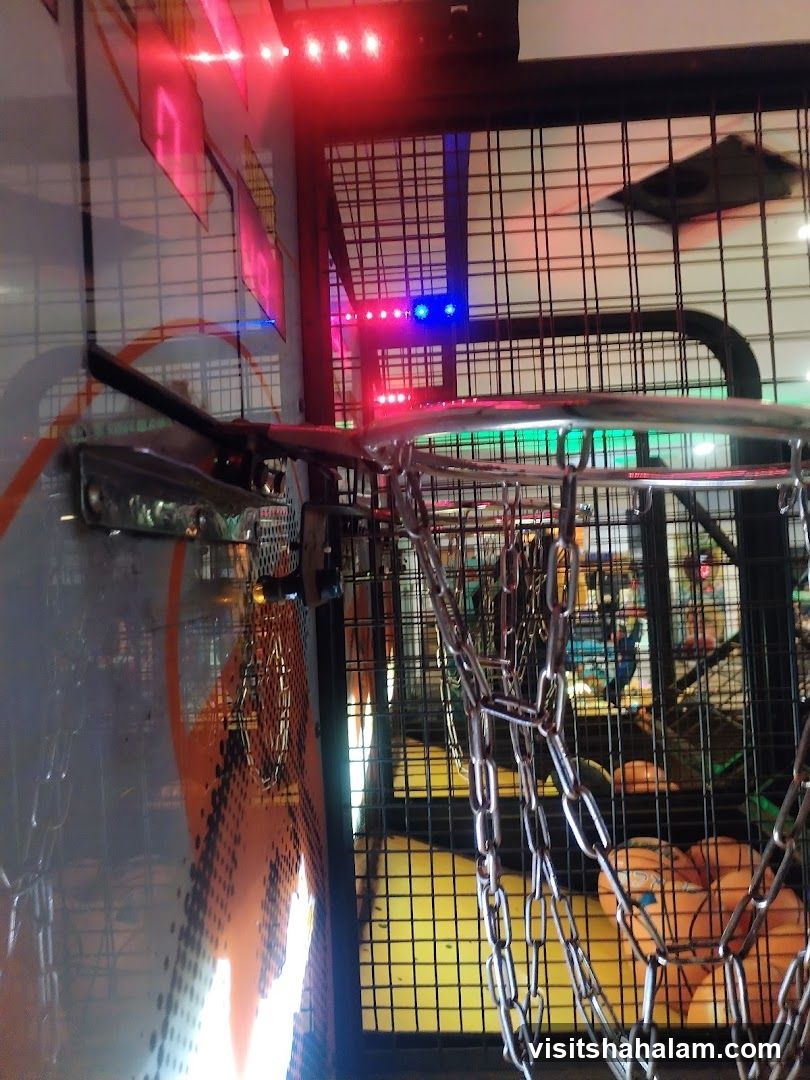 Arcade Basketball Game