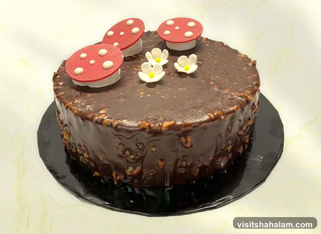 Chocolate Cake with Mushroom Decorations