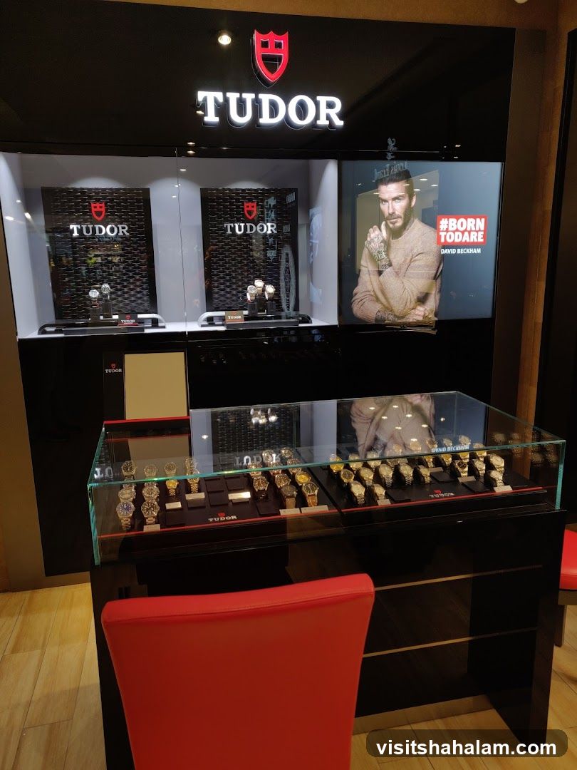 Tudor Watch Display