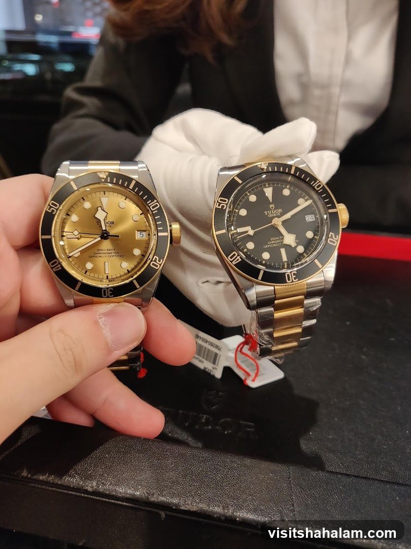 Two Tudor Watches