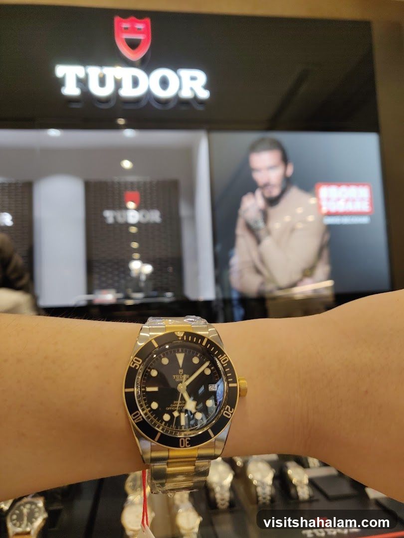 Tudor Watch Display