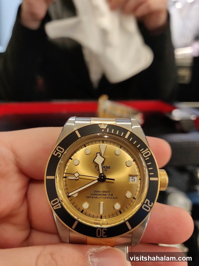 Tudor Watch