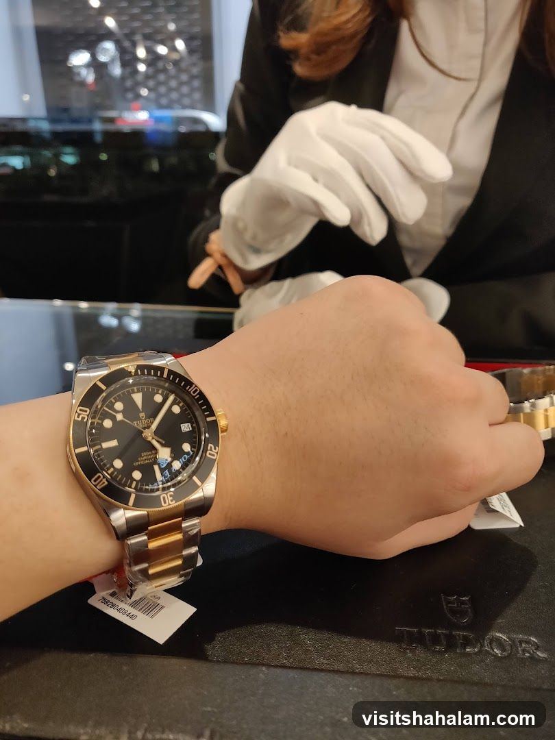 Tudor Watch on Wrist