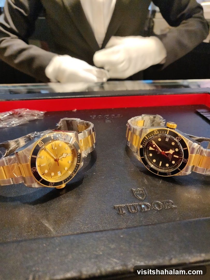 Tudor Watches