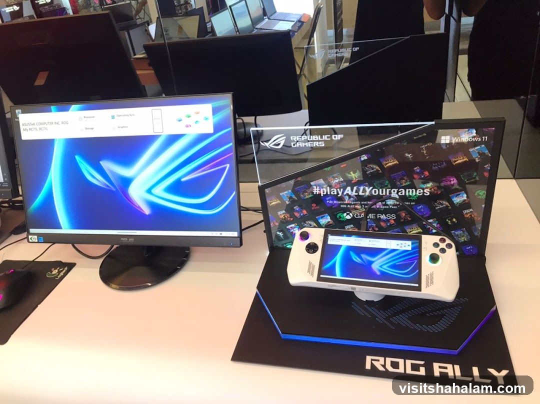 ROG Ally Gaming Device Display