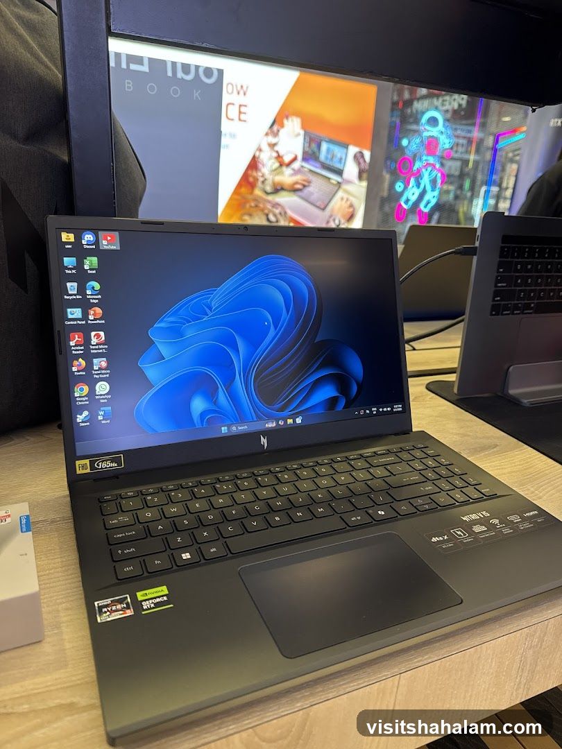 Laptop Display