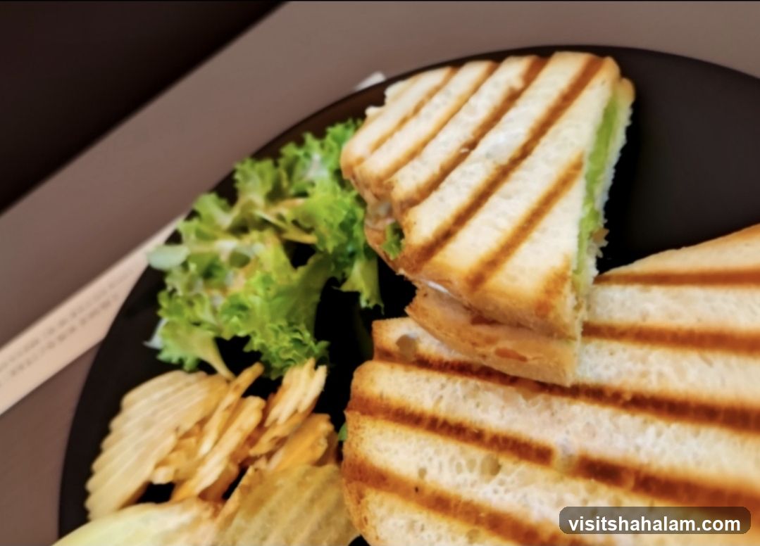Grilled Sandwich with Salad and Chips