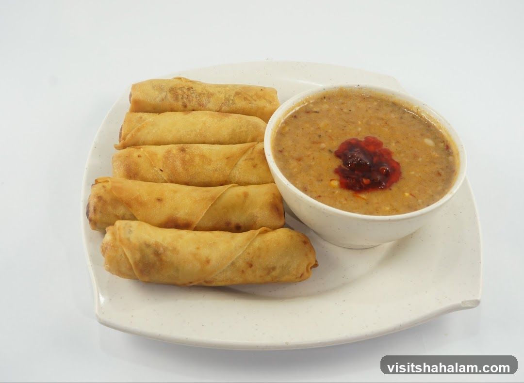 Spring Rolls with Dip