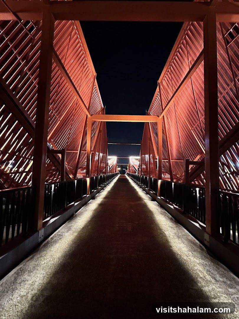 Illuminated Bridge at Night