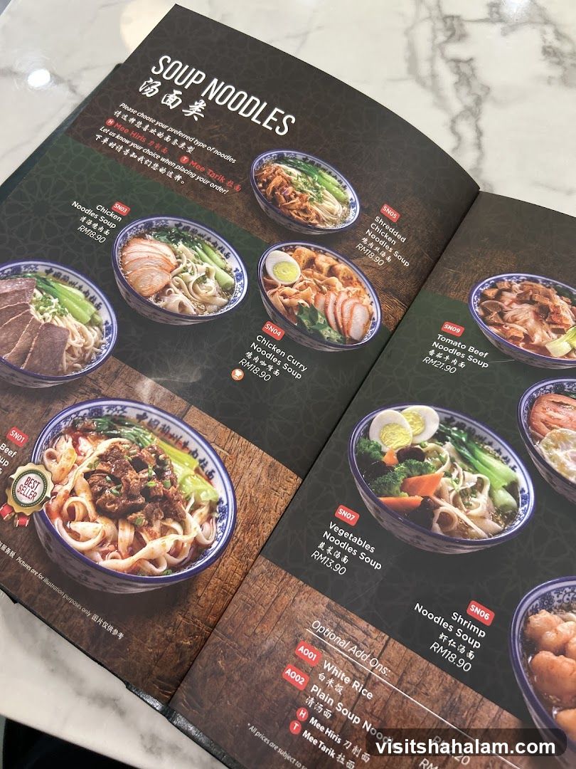 SOUP NOODLES