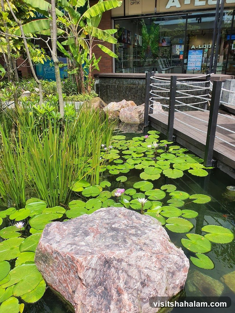 Outdoor Pond with Water Lilies and Bridge