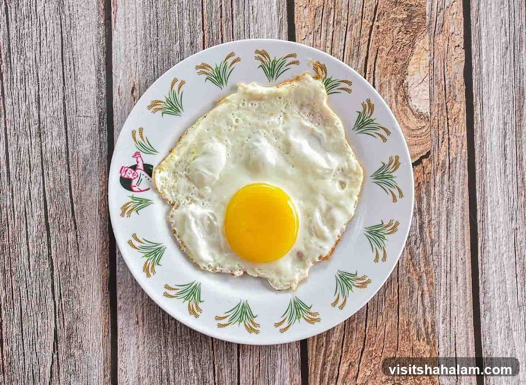 Fried Egg on a Plate
