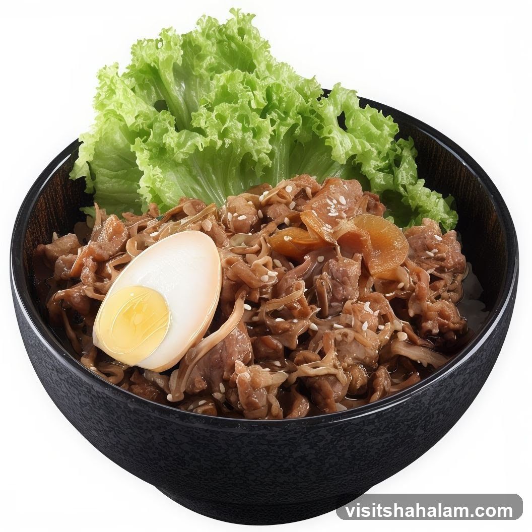 Beef Donburi