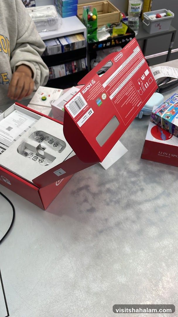 Nintendo Switch Controllers