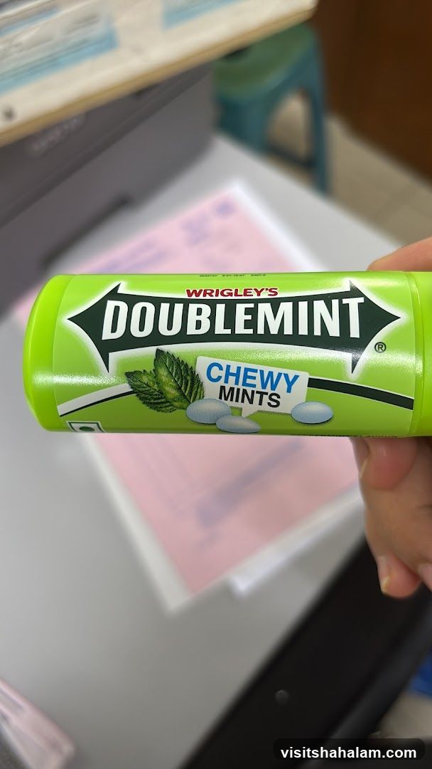 Wrigley's Doublemint Chewy Mints