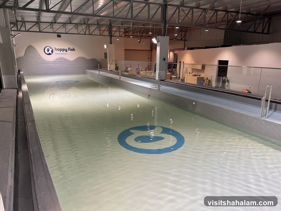 Happy Fish Swim School Pool