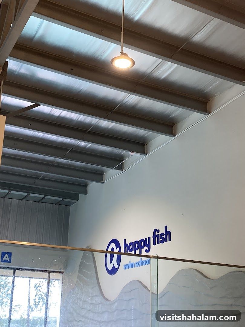 Happy Fish Swim School Interior