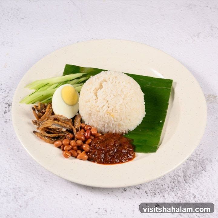 Nasi Lemak