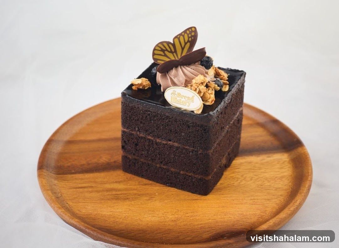 Chocolate Cake Slice