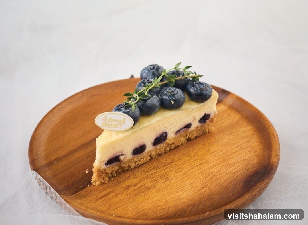 Blueberry Cheesecake Slice